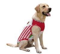 Gilet rafraîchissant pour Chien aux Couleurs des États-Unis et du Burundi, Pull d'été Mignon, vêtements pour Animaux de Compagnie pour Grands Chiots