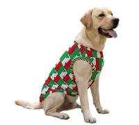 Gilet rafraîchissant pour Chien avec Drapeau et Carte d'Italie, Pull d'été Mignon, vêtements pour Animaux de Compagnie pour Grands Chiots