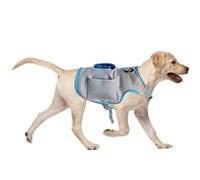 Gilet rafraîchissant pour chien avec poche de glace réglable par