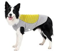 Gilet rafraîchissant pour chien, coupe confortable, respirant avec compartiment réfrigérant, gilet rafraîchissant d'été pour promenades, pique-nique, parc, excursion, jeu, petite, moyenne et grande