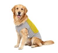 Gilet rafraîchissant pour chien - Coupe confortable, respirant avec compartiment réfrigérant - Manteau rafraîchissant d'été - Pour les races de petite, moyenne et grande taille, pique-nique, parc