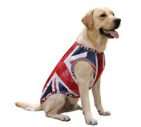 Gilet rafraîchissant pour Chien, Motif Drapeau Britannique Union Jack, Aquarelle, Pull Mignon, vêtements d'été pour Grand Chiot