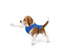 Gilet rafraîchissant pour chiens - Veste rafraîchissante respirante et réfléchissante - Manteau de sécurité pour chien avec effet rafraîchissant pour chiens de petite à grande taille