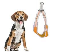 Gilet Réfléchissant pour Chien, Harnais D'extérieur pour Animaux de Compagnie, Harnais pour Chien de Taille Moyenne, Harnais et Laisse pour Chien (S Buste 43-51 Cou 36-43 Cordon