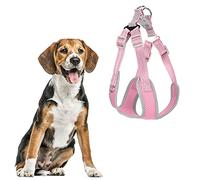 Gilet Réfléchissant pour Chien, Harnais D'extérieur pour Animaux de Compagnie, Harnais pour Chien de Taille Moyenne, Harnais et Laisse pour Chien (M Buste 51-61 Cou 43-51 Cordon