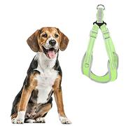 Gilet Réfléchissant pour Chien, Harnais D'extérieur pour Animaux de Compagnie, Harnais pour Chien de Taille Moyenne, Harnais et Laisse pour Chien (L Buste 60-74 Cou 50-62 Cordon
