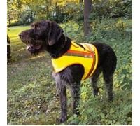 Gilet réfléchissant pour chiens - différentes tailles 3