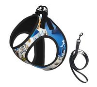 Gilet réfléchissant pour petits chiens et chats avec imprimé vue sur la mer de l'île grecque, gilet réglable pour la marche, la randonnée