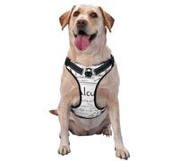 Gilet réfléchissant réglable pour chien Motif géométrique mathématiques Geek Calculus Taille S