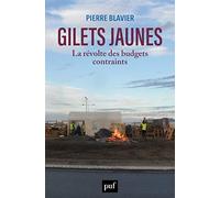 Gilets jaunes, la révolte des budgets contraints: La révolte des budgets contraints