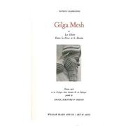 Gilga Mesh Ou La Gloire Entre La Fotce Et Le Destin