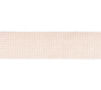 Gima 32957 Rouleau de papier thermique Ecg, grille orange, 60 mm x 30 m