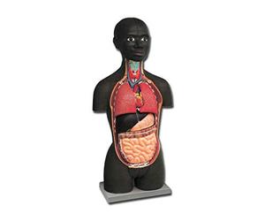 GiMa 40001 Mini torse, africain, 16 parties