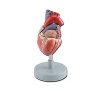 GiMa 40071 modèle coeur, 2 Parties, Lot de 1 pièce