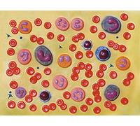GiMa 40077 modèle cellules de sang, 2000 x, lot de 1 pièce