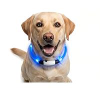 Gimars Collier LED Rechargeable pour Chien - en PVC - 70 cm - Taille Universelle - Découpable - Étanche - 3 Modes d'éclairage avec USB-C - Bleu