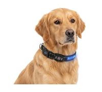 Gimars Collier réfléchissant réglable en Polyester pour Chien avec Fonction LED/éclairage Bleu Taille M