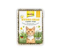 GimCat Hydro-Gras - Herbe à chat fraîche issue d’une culture en plein air contrôlée en seulement 5 à 8 jours - 1 barquette (1 à 150 g)