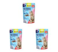 Gimcat Nutri Pockets Poisson Saumon - Friandise Croustillante pour Chats avec des Ingrédients Fonctionnels - 1 Sachet (1 X 60 G) (Lot de 3)