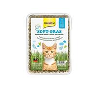 GIMCAT Soft Grass - herbe à tige tendre - 100 g