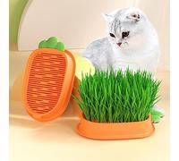 GIMOCOOL Cat Nips Grass Planter Tray - Boîte À Herbes À Chat Catnip - Kit De Culture D'herbes À Chat - Planteur D'herbes pour Chats D'intérieur - Plateau De Culture D'herbes À Chat Hydroponique