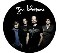 Gin Blossoms – Live In Concert – Vinyle