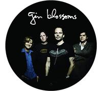 Gin Blossoms - Live in Concert - Picture Disc Vinyl