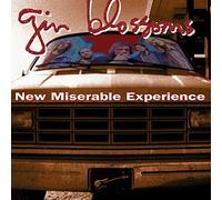 Gin Blossoms - New Miserable Experience [Import]