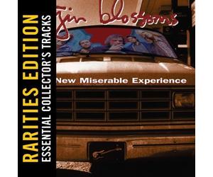 Gin Blossoms - New Miserable Experience