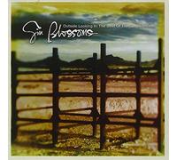 Gin Blossoms – Outside Looking In – CD audio