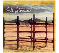 Gin Blossoms - Outside Looking in
