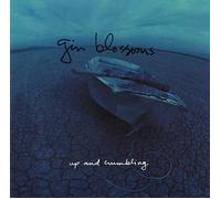 Gin Blossoms - Up And Crumbling