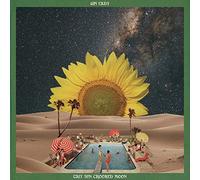 Gin Lady - Tall Sun Crooked Moon