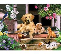 Ginfonr 5D Diamant Painting Diamond Painting Complet Chien et chat Golden retriever Broderie Peinture Diamant Painting lapin Kit Complet Décoration De Pour La Décoration Murale De La Maison 30x40 cm