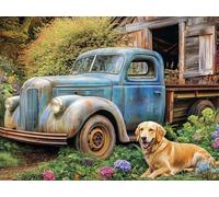 Ginfonr 5D Diamond Art Painting Complet Voiture, Broderie Peinture Diamant Painting Chien Kit Round Full Drill Complet Décoration De Pour La Décoration Murale De La Maison 30x40 cm8106