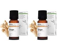 Gingembre BIO (Zingiber officinale) - 10 mL - Huile Essentielle Chémotypée et Certifiée AB - Digestion & Mal des transports - Aroma Labs - Made in France (Lot de 2)