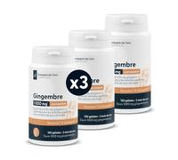 Gingembre Concentré 6 Mois de Cure - 360 Gélules Végétales - 400 mg/jour en 2 Prises - Titré à 5% de Gingérols (20 mg) - Équivalent 1 000 mg de Rhizome - Fabriqué en France - Compagnie des Sens