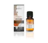 Gingembre terpénique Bio 30ml