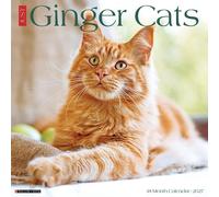 Willow Creek Press, Calendrier mural 2027 Motif chats roux