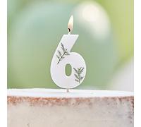 Ginger Ray Birthday Cake Candle Decoration Foliage Floral Eco Number 6
