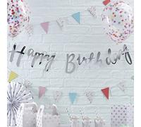 Ginger Ray PM-227 Guirlande de fanions en papier Argenté