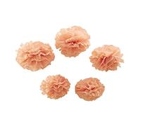 Ginger Ray Rose Pastel Papier de Soie Pom poms Parti & Mariage décorations - Pastel Perfection