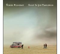 Ginger Wildheart - Ghost in The Tanglewood [Import]