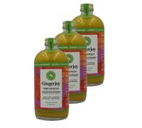 Gingerjoy - Lot 3x Gingerjoy - concentré de gingembre BIO - Bouteille 480ml