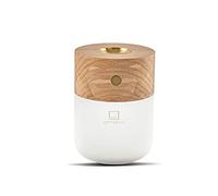 Gingko Smart Diffuser Lamp Noyer
