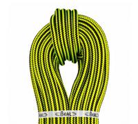 Ginkgo 12mm X 40m - 1 Termination Cousue - Elagage | Beal Pro