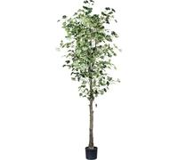 Ginkgo arbre plante artificielle 210 cm de haut dans pot plastique avec terreau - Arbre vert décoratif