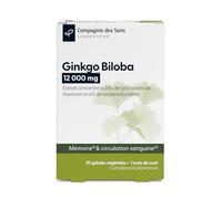 Ginkgo Biloba 12 000 mg - Haute teneur en flavonones et terpénolactones - 1 mois de cure intensive
