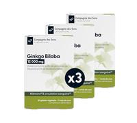 Ginkgo Biloba 12 000 mg - Haute teneur en flavonones et terpénolactones - 1 mois de cure intensive