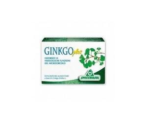 Ginkgo Plus 30Cps